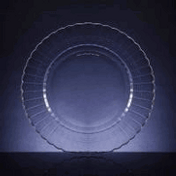 Clear Plastic Scalloped 9" Plates 18 count