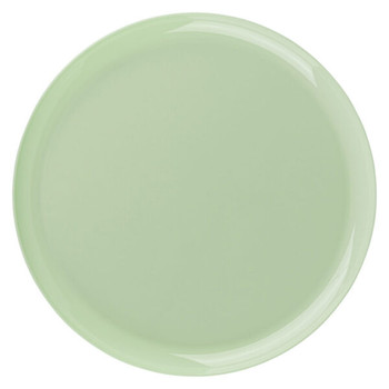 Mint Green Edge 10.6" Plastic Banquet Plates 10ct.