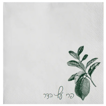 Emerald Charcoal Esrog Disposable Airlaid Buffet / Cocktail Napkin - Pack of 20