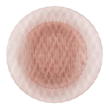 Elegant Timeless Rose Combo 7" & 10" Disposable Plastic Party Plates - Ideal for Parties