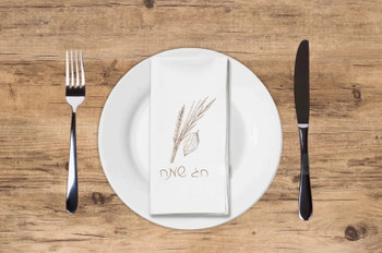 Altoona Design Tan Chag Sameach Printed Guest Towel Airlaid Linen-Feel Disposable Hand Towels for Jewish New Year & Sukkos Holiday Party Buffet & Dinner