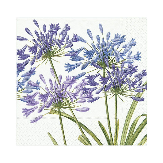 Agapanthus Paper Luncheon Napkins - 20 Per Package