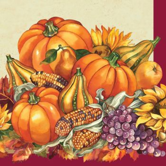 Fall Plenty Thanksgiving Beverage Napkins 16ct.