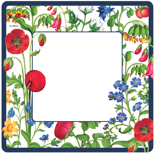 Cloisters Garden Square Floral 10" Dinner Plates in White - 8 Per Package