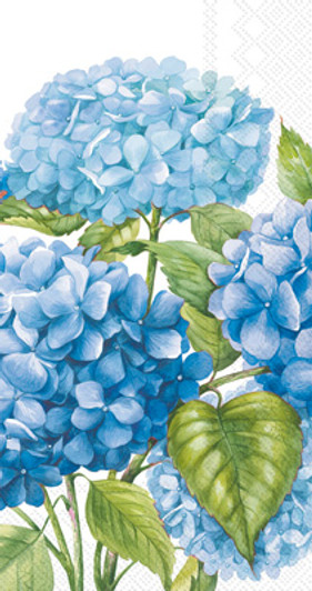 sea of blossom hydrangea guest