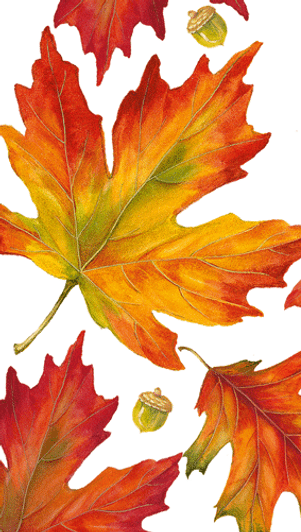 Caspari Autumn Hues  Paper Guest Towel Fall / Thanksgiving Napkins - 15 Per Package