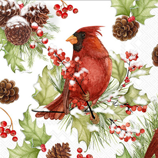 christmas cardinals holly