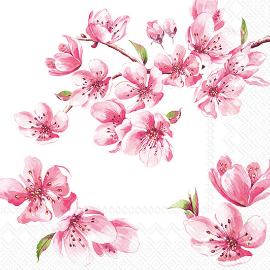 Sakura Rose Cocktail Napkins - Pack of 20