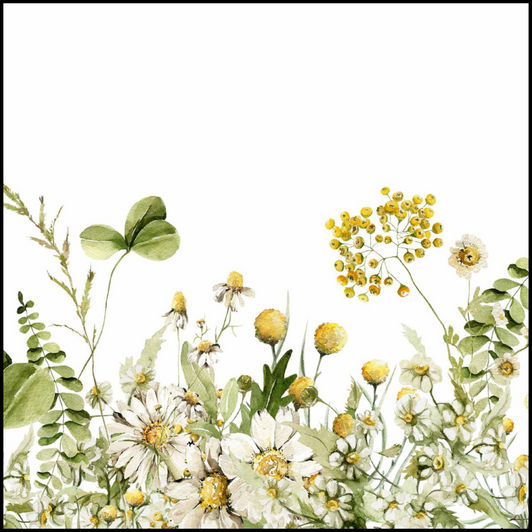 Daisy Dream Disposable Airlaid Buffet / Cocktail Napkins - Pack of 20