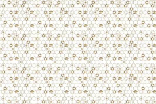 Honeycomb Floral Placemat 12.5" x 18.5" Durable Heavyweight Paper / 24 Count