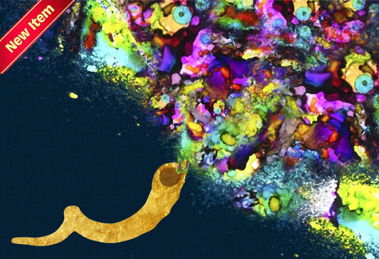 Brilliant Blast Placemat 12.5" x 18.5" Durable Heavyweight Paper - 24 Count