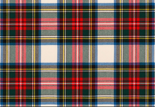 Tartan Classic Placemat 12.5" x 18.5" Durable Heavyweight Paper Elegant Table Setting - 24 Count