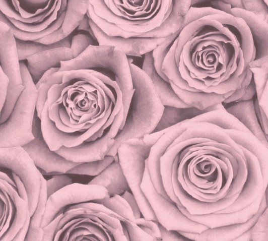 Blush Blossoms Charger Placemat 12.5" x 12.5" Durable Heavyweight Paper Elegant Table Setting - 24 Count