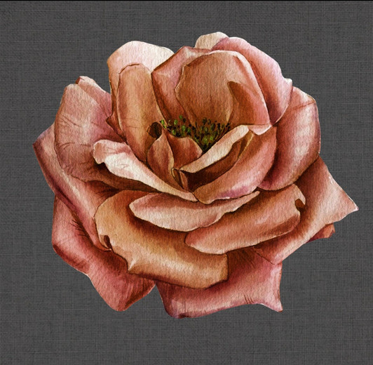 Antique Peach Camellia Charger Placemat 12.5" x 12.5" Durable Heavyweight Paper Elegant Table Setting - 12 Count