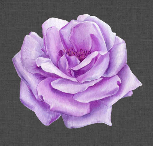 Camellia Charger Lilac Placemat 12.5" x 12.5" Durable Heavyweight Paper Elegant Table Setting - 12 Count