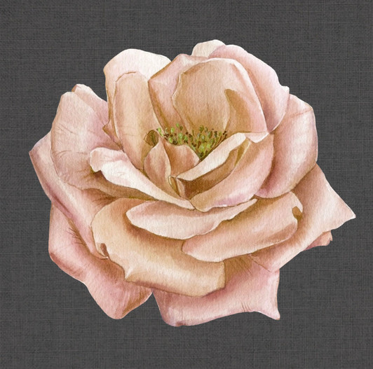 Melon Camellia Charger Placemat 12.5" x 12.5" Durable Heavyweight Paper Elegant Table Setting - 12 Count