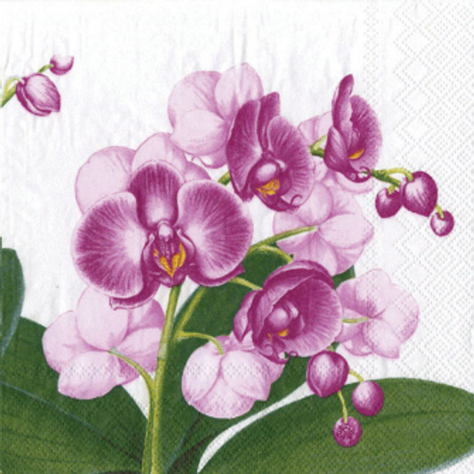 Flower Patterned Napkins