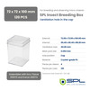 SPL Insect Breeding Box 310075