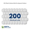 SPL Plant Culture Dish 310100