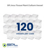 SPL Incu Tissue, PS, Square, 72x72x100mm, Sterile 310070