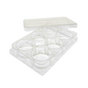 SPL 6 wells Cell Culture Plate  32006