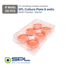 SPL 6 wells Cell Culture Plate  32006
