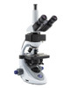 OPTIKA B-293LD1.50 - Trinocular LED Fluorescence Microscope
