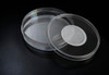 SPL Insect Breeding Dish, PS, 100 x 40 mm, 40 mm Ventilation Hole in Cap, 0.053 