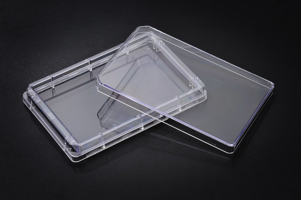 SPL Tray Plate Single well Plate, PS, TC Treated, Sterile Case of