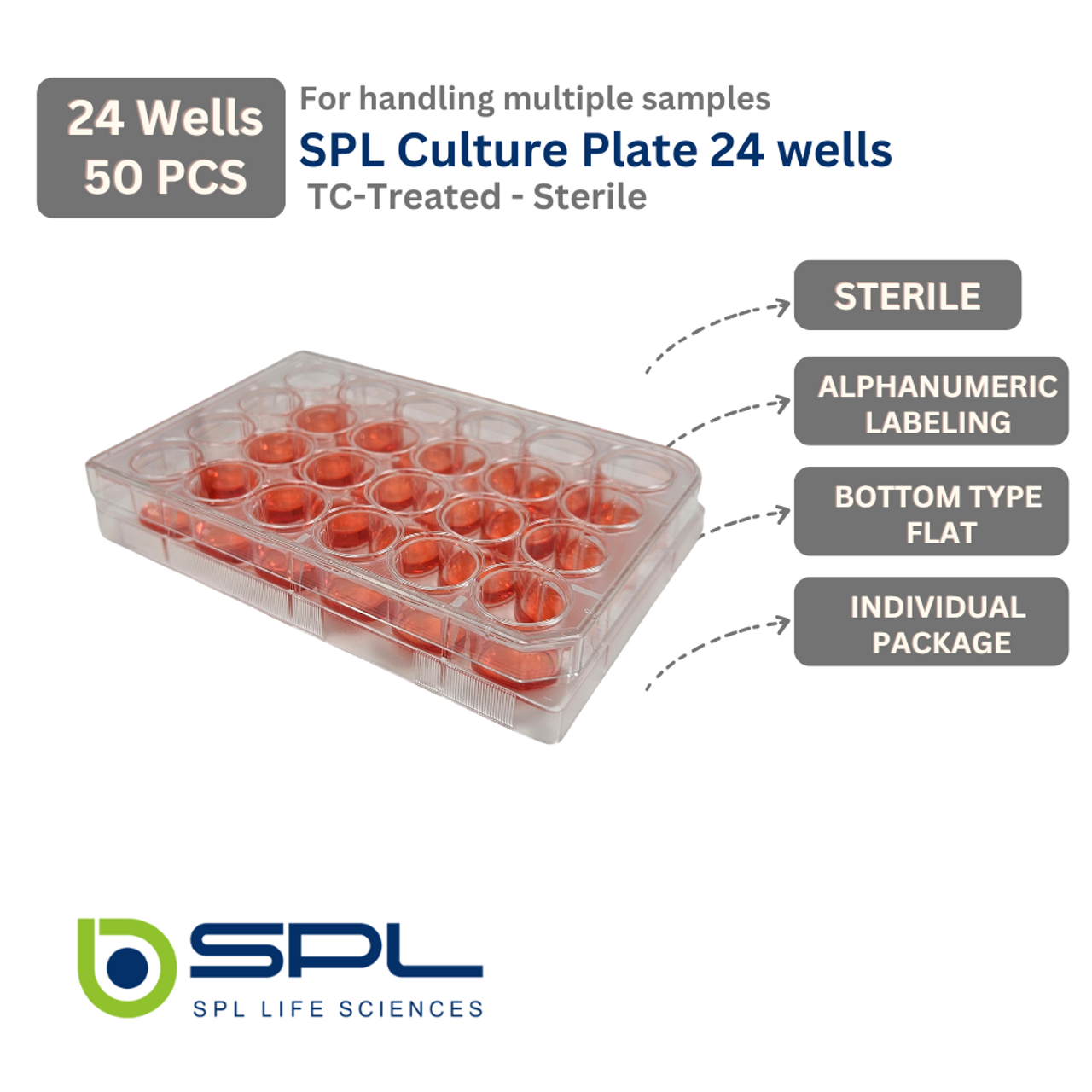 SPL 24 wells Cell Culture Plate Flat Bottom