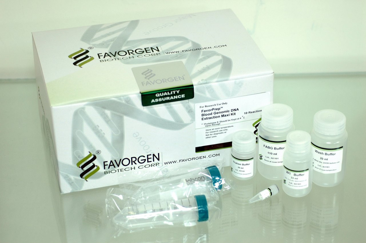 Favorgen Blood Genomic DNA Extraction Maxi Kit (24 Prep)  (With Proteinase K Powder, for wide applications and simple procedure)