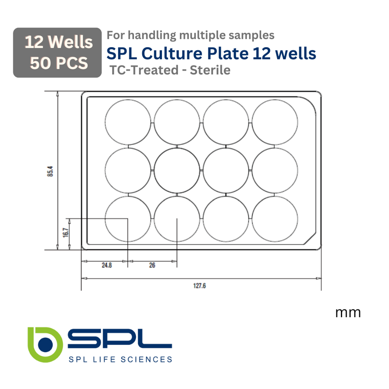SPL 12 wells Cell Culture Plate 30012 SPL 12 wells Cell Culture Plate 30012