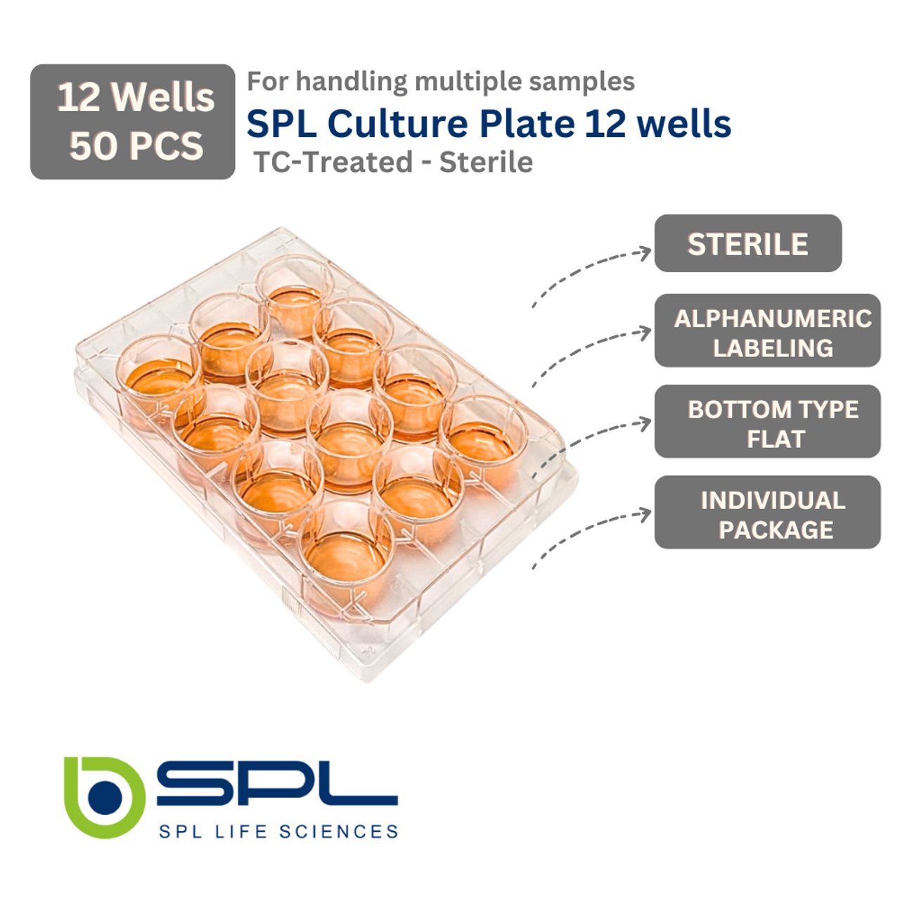 SPL 12 wells Cell Culture Plate 30012 SPL 12 wells Cell Culture Plate 30012