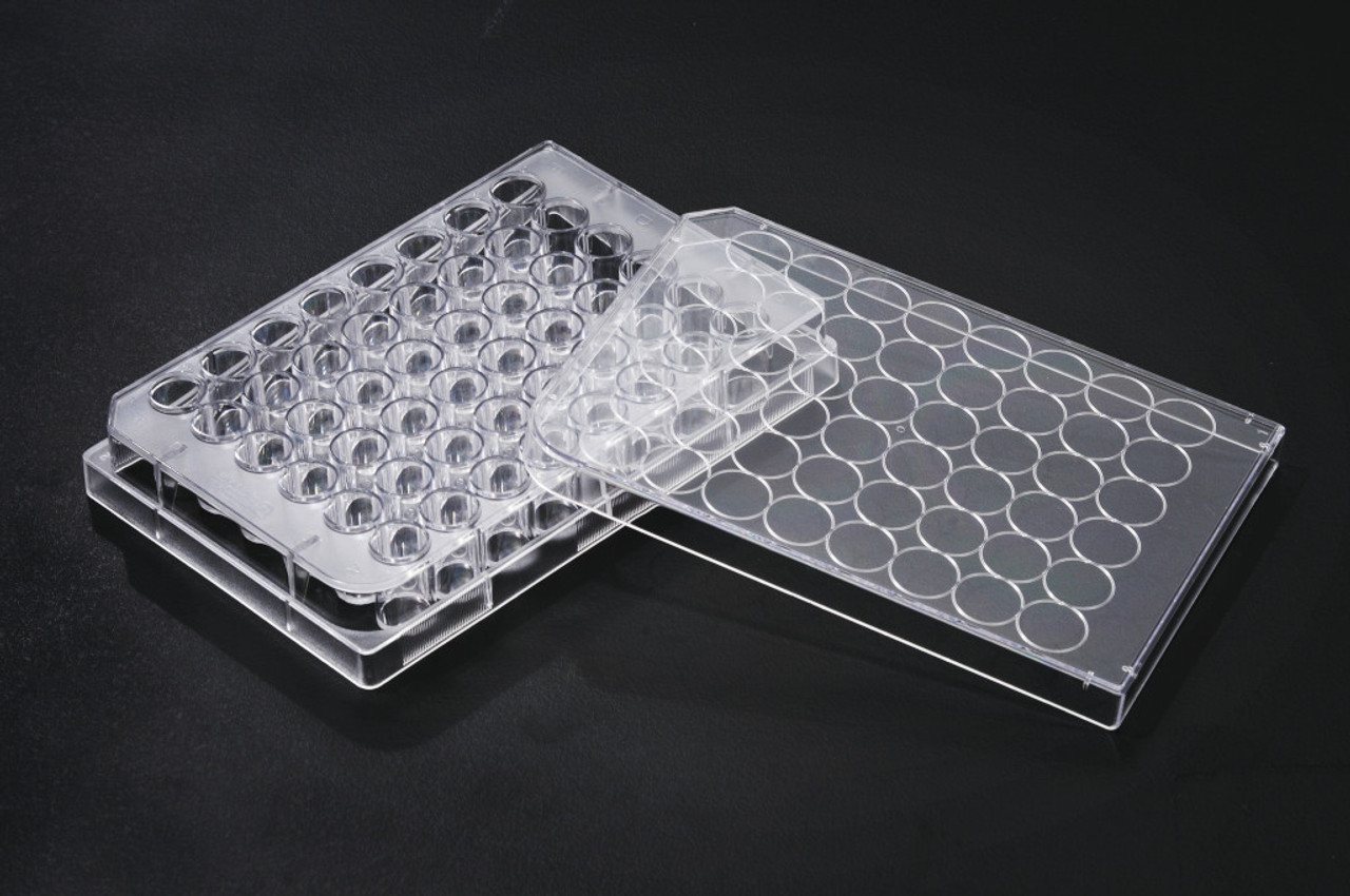 SPL 48 wells Cell Culture Plate Flat Bottom