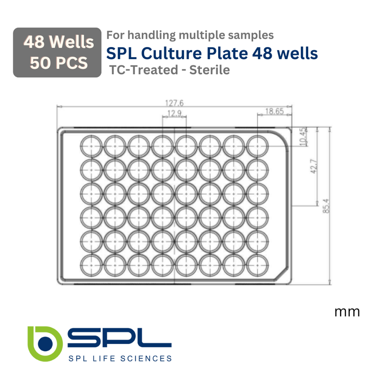SPL 48 wells Cell Culture Plate Flat Bottom 30048