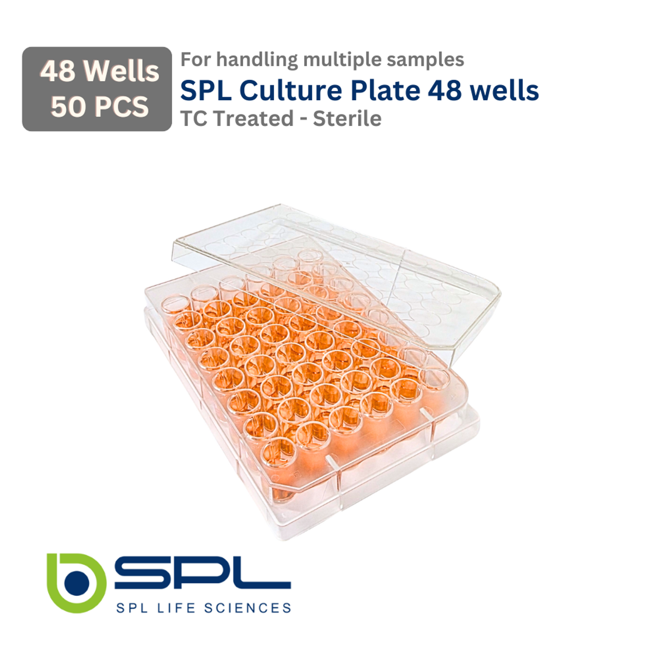 SPL 48 wells Cell Culture Plate Flat Bottom 30048