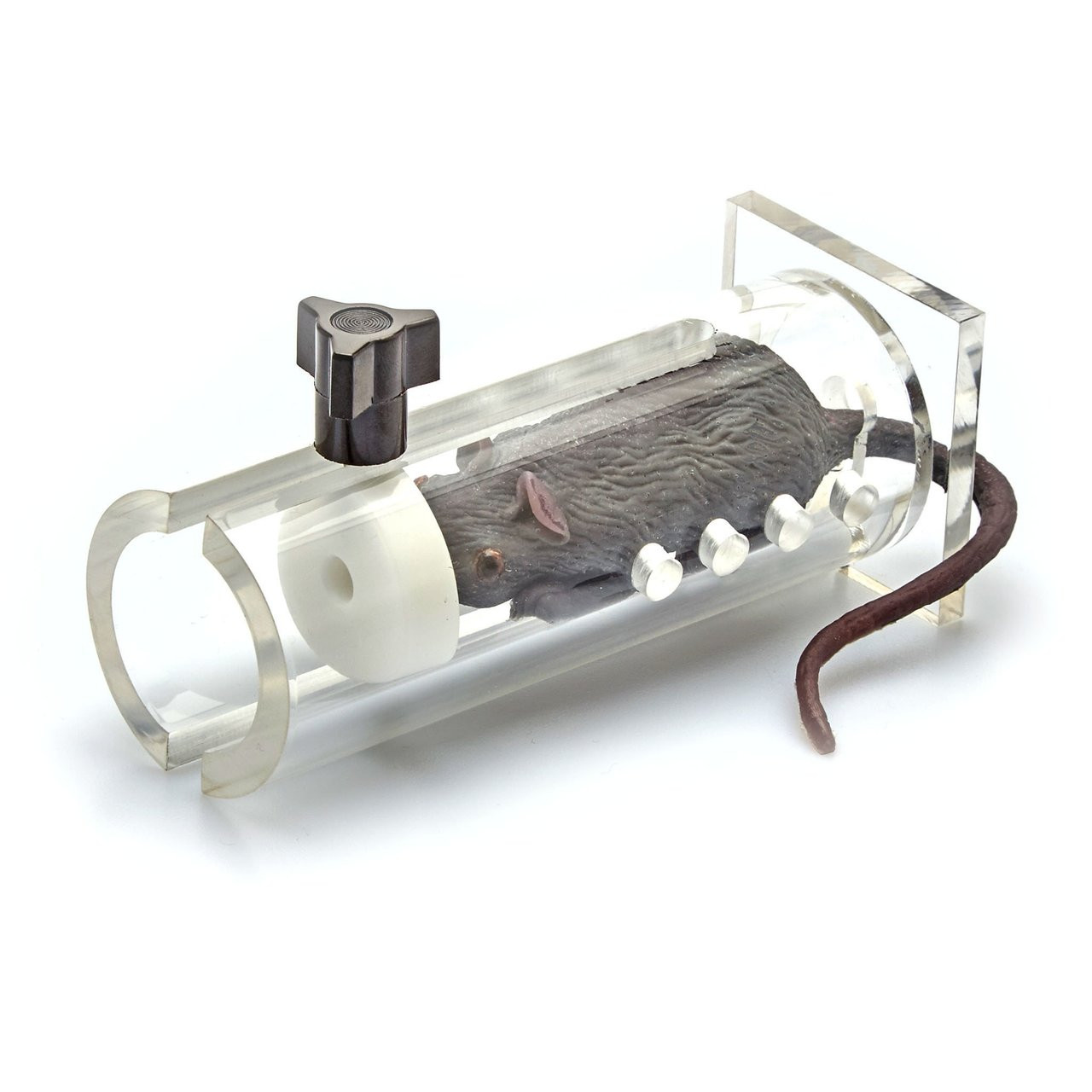 【新品未開封】TUBE RATS CUSHION – Multi Brand New, Unopened】TUBE RATS CUSHION – Multi