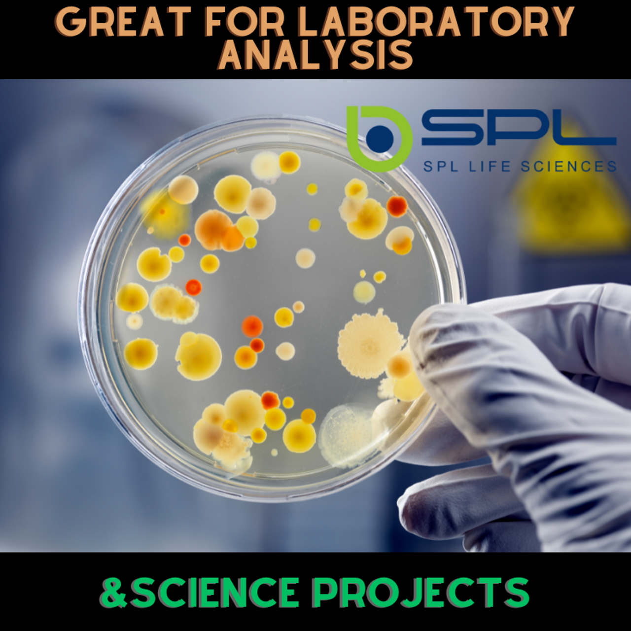 SPL Cell Culture Dish, 90 x 15 mm