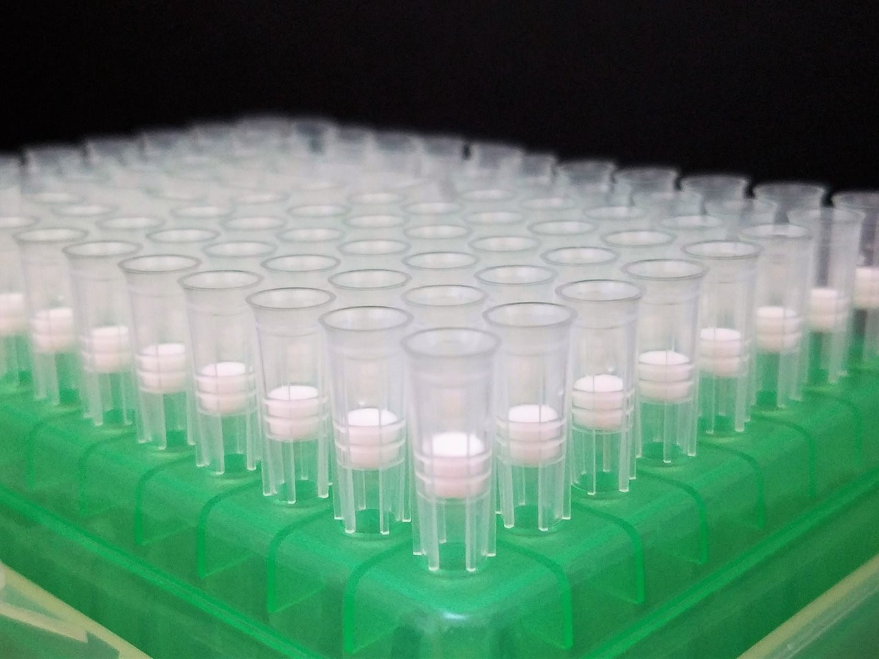 EXTRAGENE 250ul Filter Pipette Tips, Racked, Sterile,RNase / DNase free