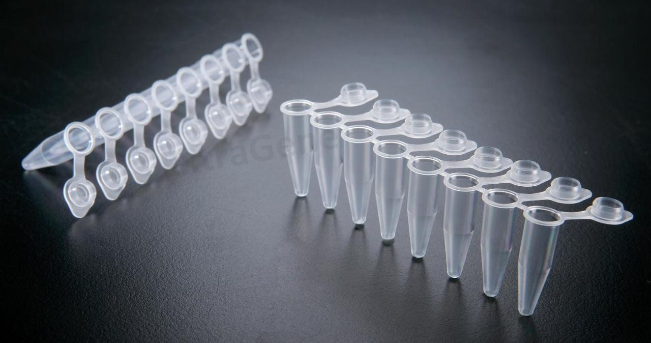 Extragene PCR Strip Tube 0.2 ml Snap Flat Caps Thin Wall