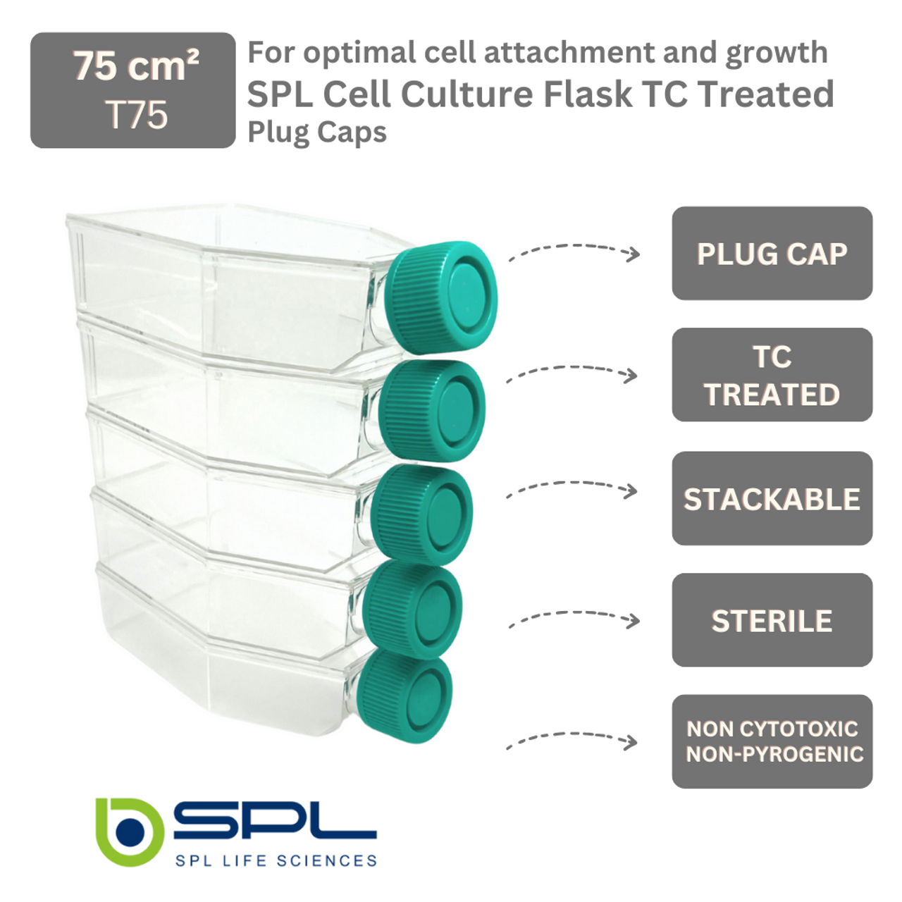 SPL Cell Culture Treated Flask with Plugged Cap 75 T75