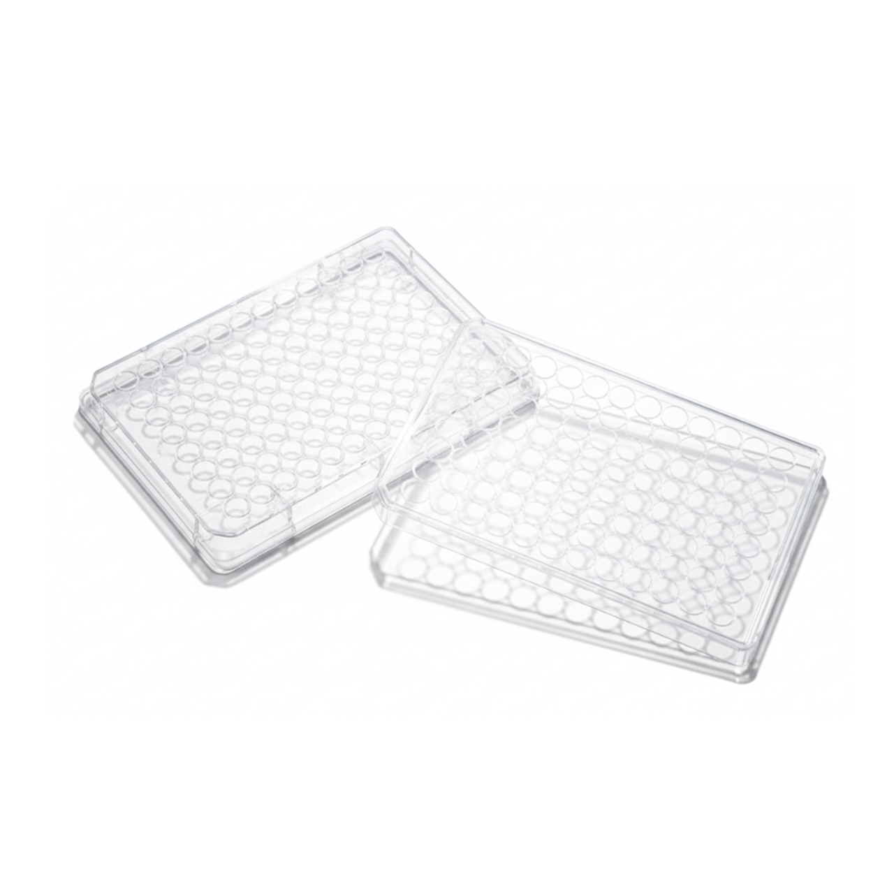 SPL Multi well Culture Plate 96 wells, TC Treated, Round bottom