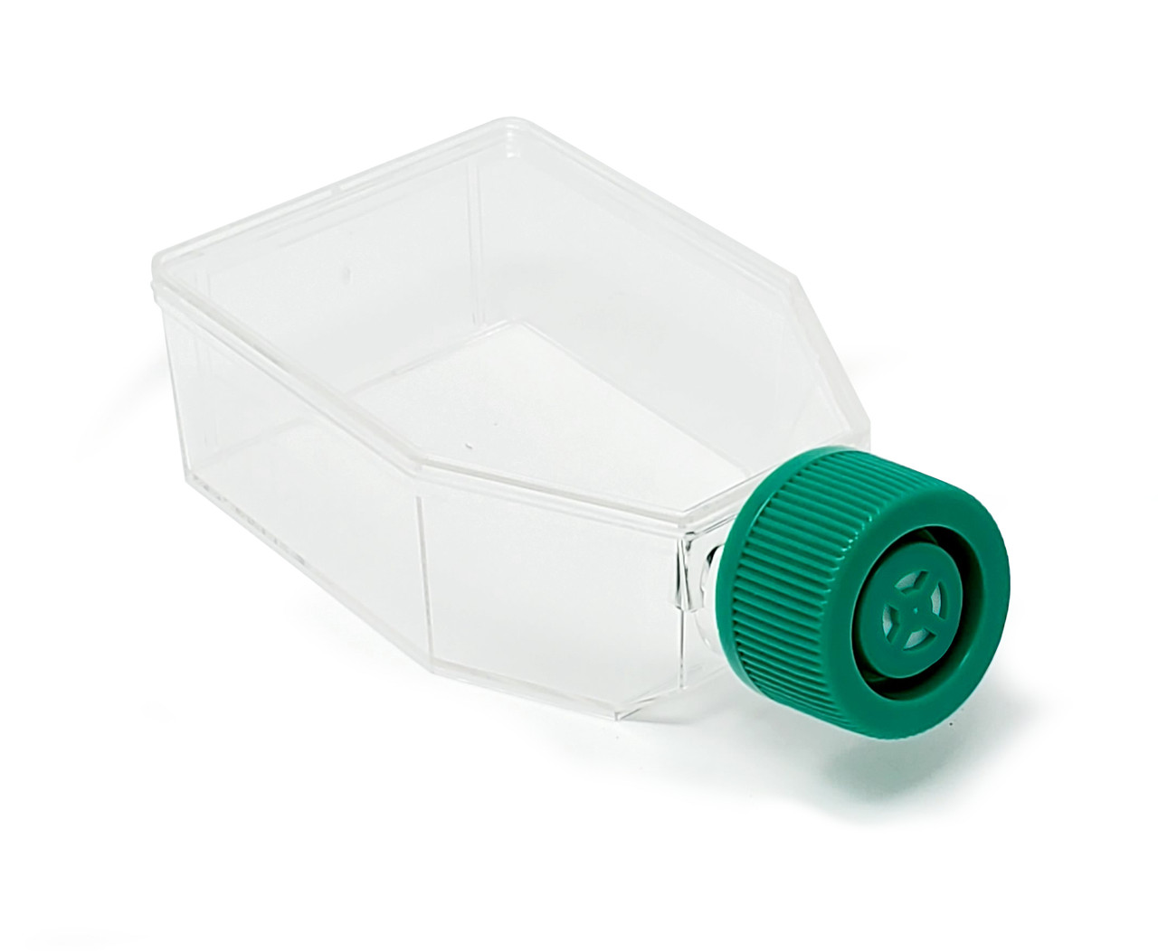 SPL Cell Culture Flask 25 cm² (T25) Filter Cap, Treated, Sterile