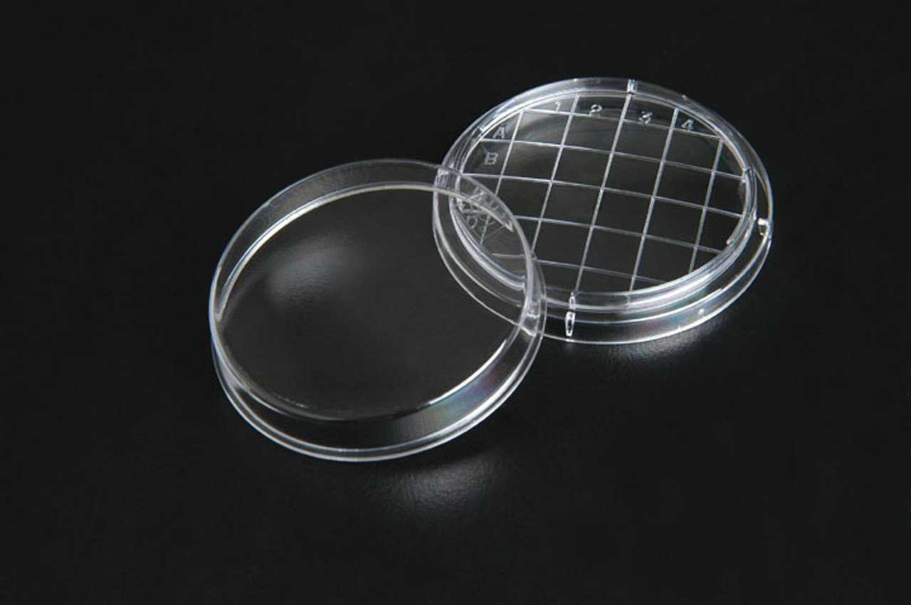 SPL Contact Plate (RODAC) 60.00 x 15.00 mm