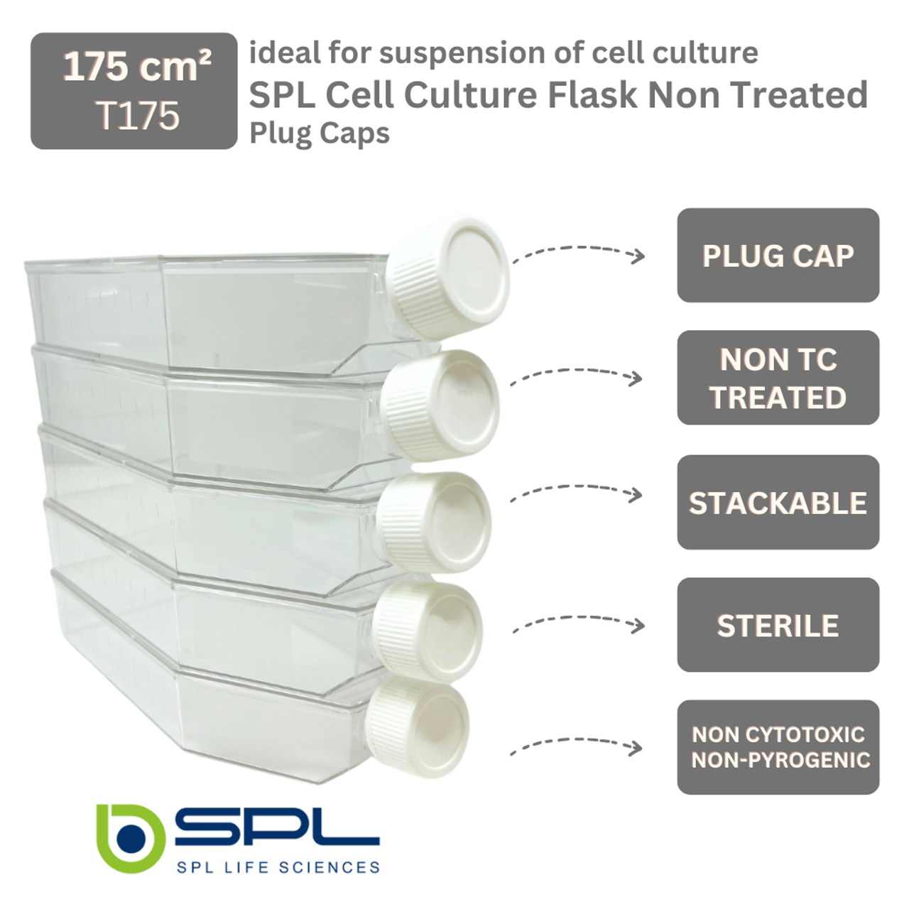 SPL Cell Culture Flask 175 cm2 (T175) Plug Cap