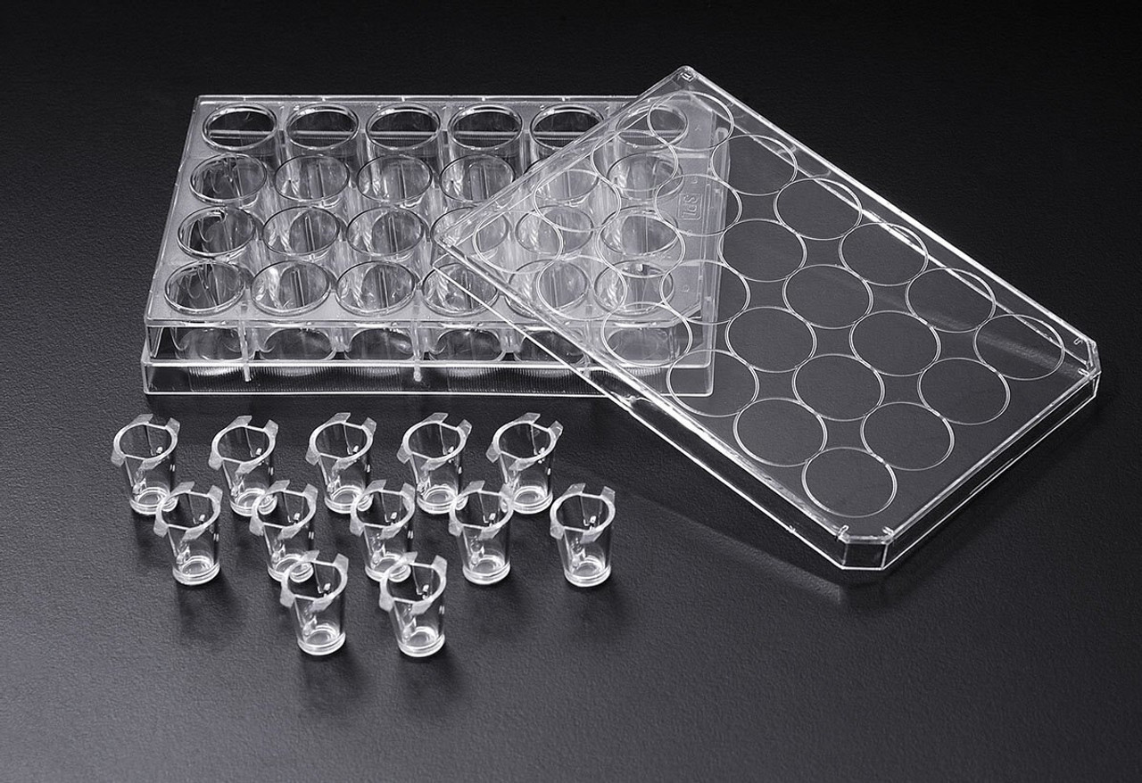 Staining Tray with lid, Apet plastic.. Life Science Products