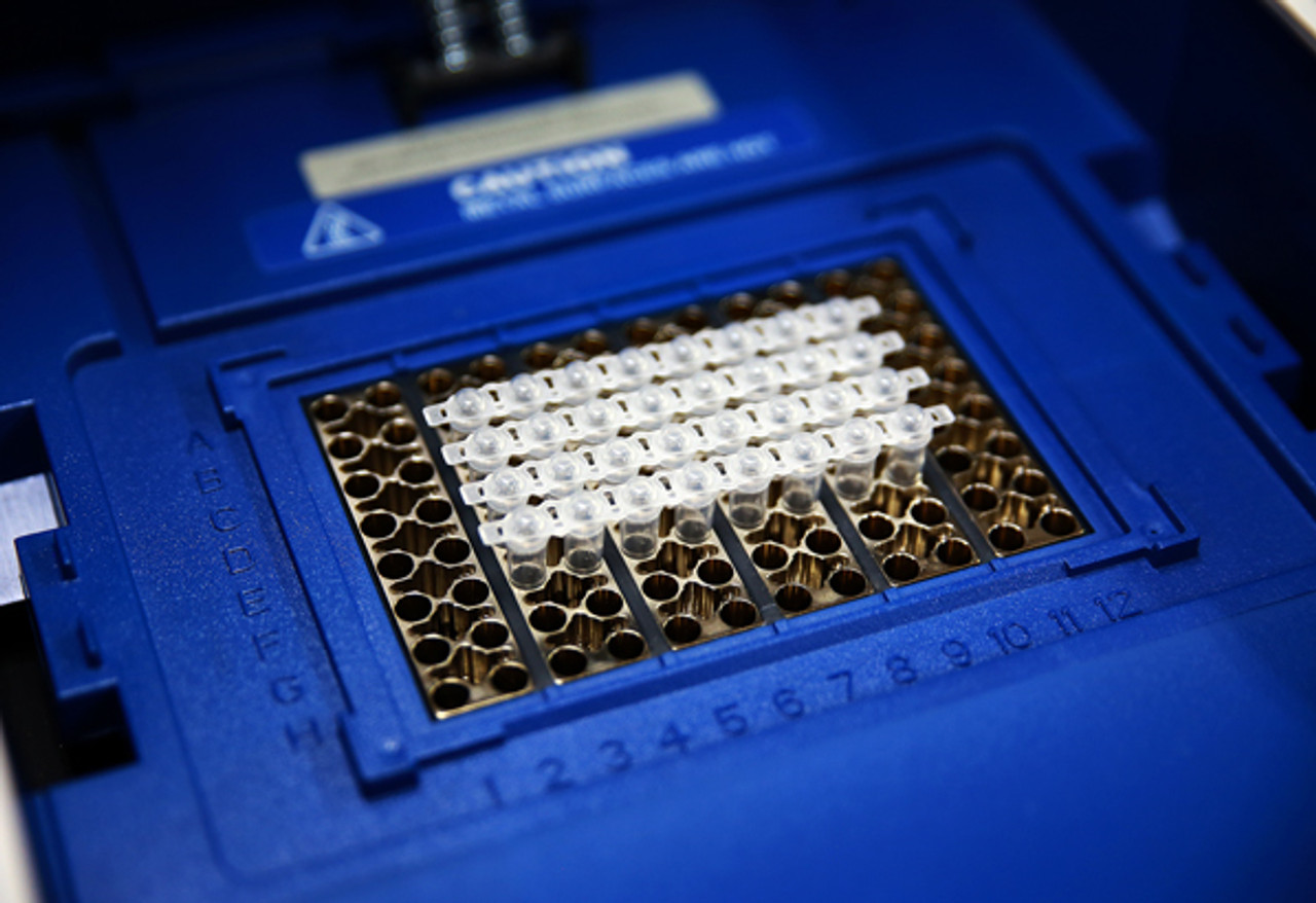 PCR Strip Tube 8 x 0.2 Dome cap
