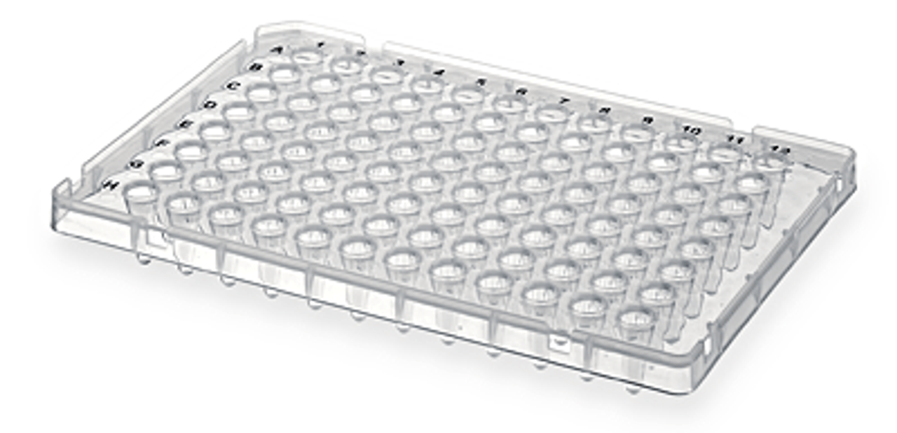 Bioer PCR Plate