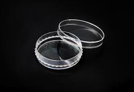 SPL Cell Culture Dish, 60x15mm, PS, external grip, sterile (Case x 500)