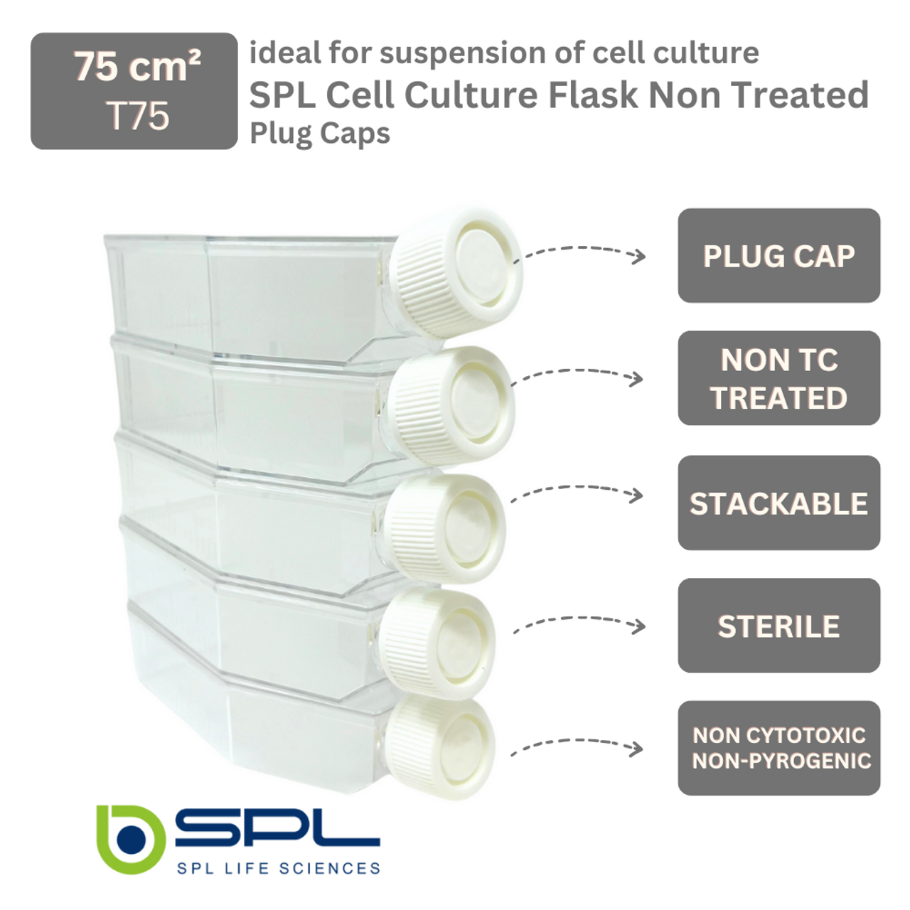 SPL Cell Culture Flask 75 cm2 (T75) Plug Ca